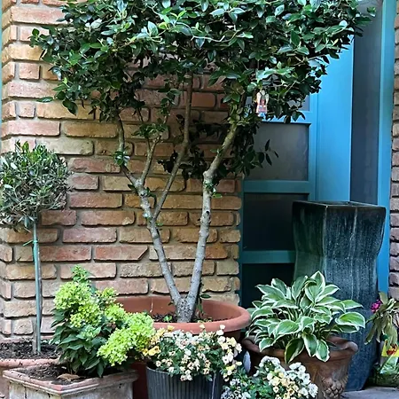 Szent Anna Panzio Hotell Esztergom